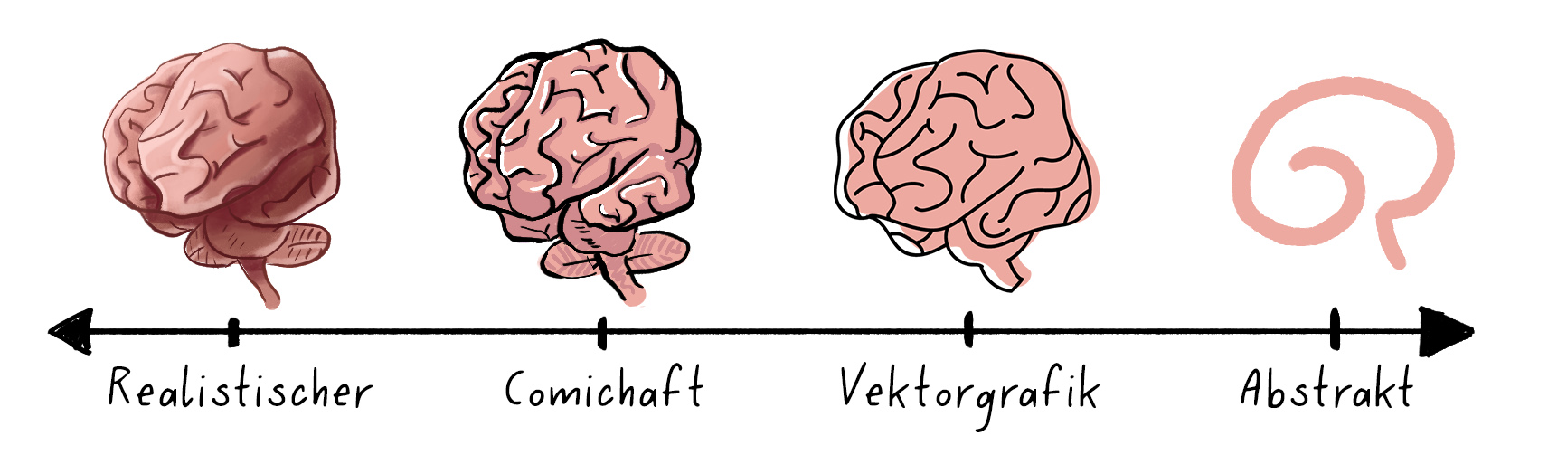Stilfindung-Zusammenarbeit-Illustration-Wissenschaft-München-Anna-Fuchs 